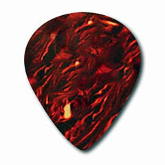 CELLULOID JAZZ - SHELL